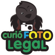 logo da curio